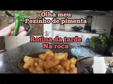 rotina da tarde na roça YouTube