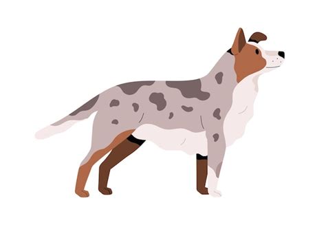 Premium Vector | Side view of cute adult dog. pretty doggy with spotty ...