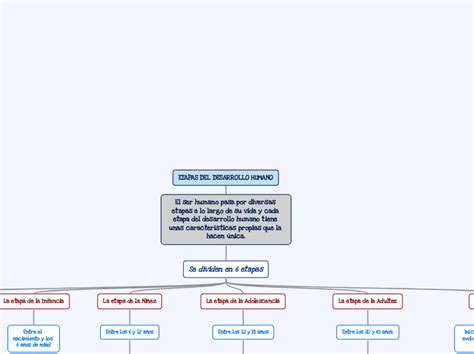 Etapas Del Desarrollo Humano Mind Map