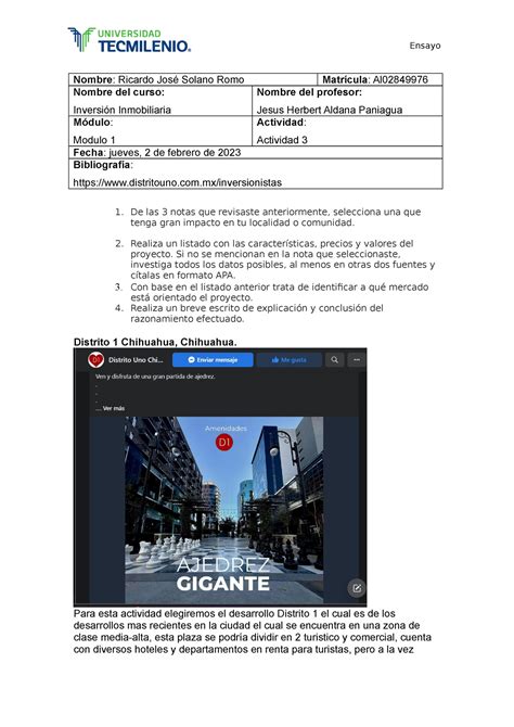 Actividad Inversion Inmobiliaria Ensayo Nombre Ricardo Jos Solano