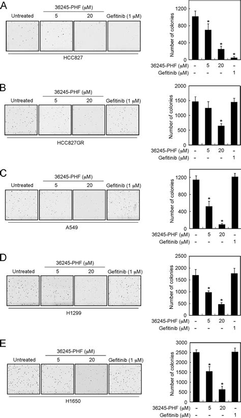 36245 PHF Suppresses Anchorage Independent Soft Agar Growth Of Both