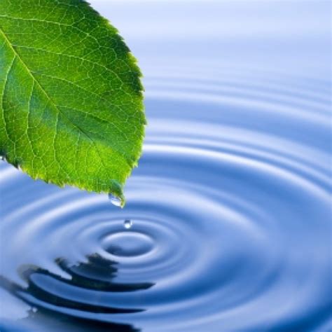 Дар Природы Картинки – Telegraph