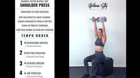 Dumbbell Seated Neutral Grip Shoulder Press YouTube