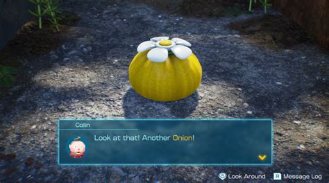 How To Find The Yellow Pikmin Onion In Pikmin