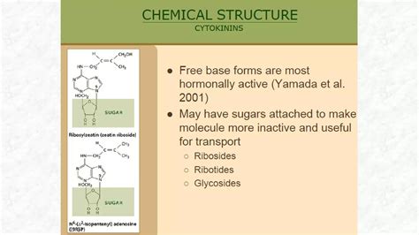 Biosyntesis Of Cytokinins And Gibberalins Ppt