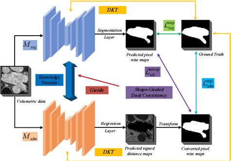 Figure 1 From Semi Supervised 3D Medical Image Segmentation Using Shape