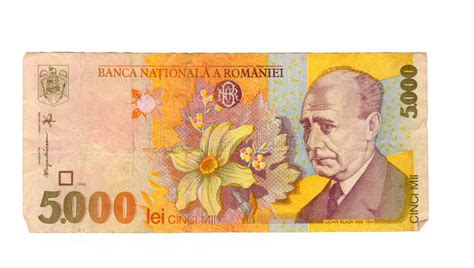 Romanian Leu Banknote Obverse Specimen Stock Photo Image Of