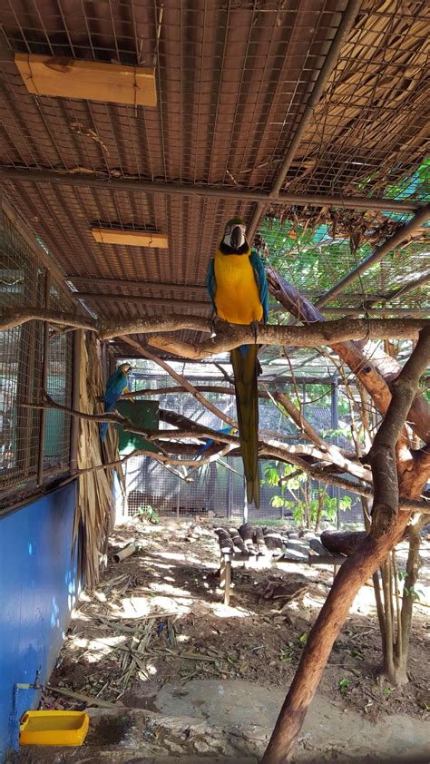 Emperor Valley Zoo Destination Trinidad And Tobago Tours Holidays