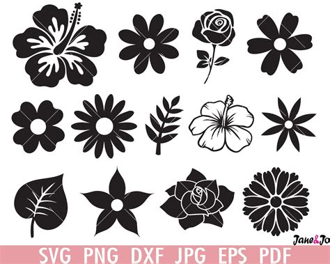 Flowers Svg Bundle Flowers Clipart Leaves Svg Rose Svg Etsy