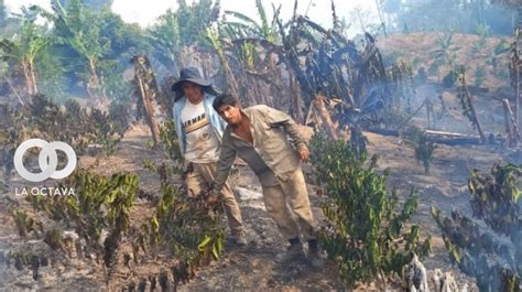 Más de 9 mil familias son afectadas por incendios en los Yungas