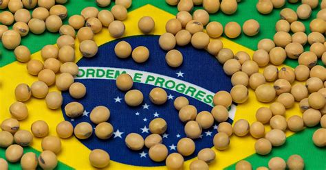 Brazil crop production outlook