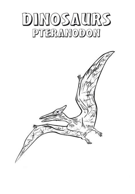 Pteranodon Dinosaur Coloring Pages