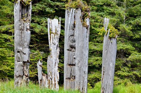 Historic Totem Poles Sgang Gwaay Ninstints Haida Gwaii Stock Image