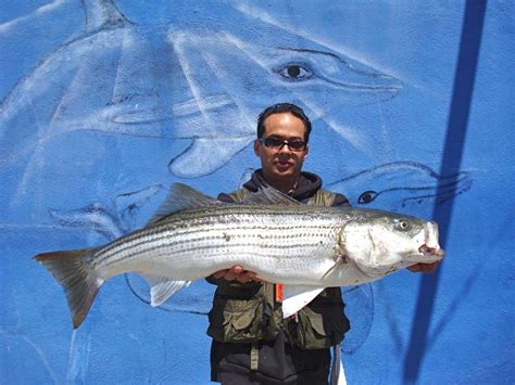 Striped Bass Pier Fishing In California