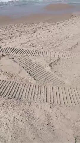 Gaeta Ripascimento Sulla Spiaggia Di Serapo 4 YouTube