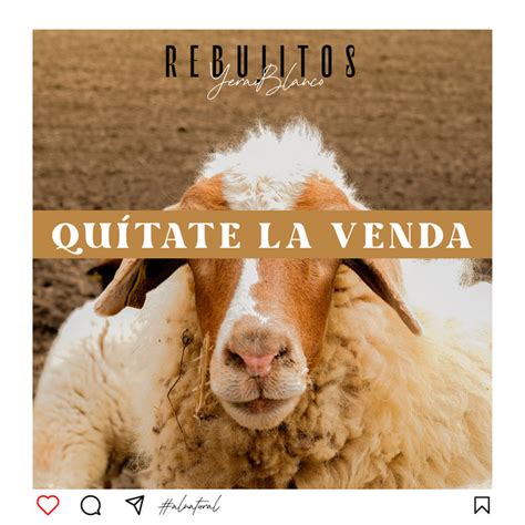 Qu Tate La Venda Single De Los Rebujitos Spotify