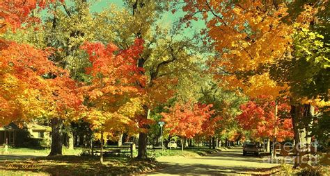 Mapleton Hill Boulder Fall Beauty Photograph By Reza Mahlouji Fine Art America