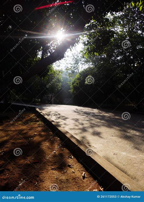 Sun Is Shining 6