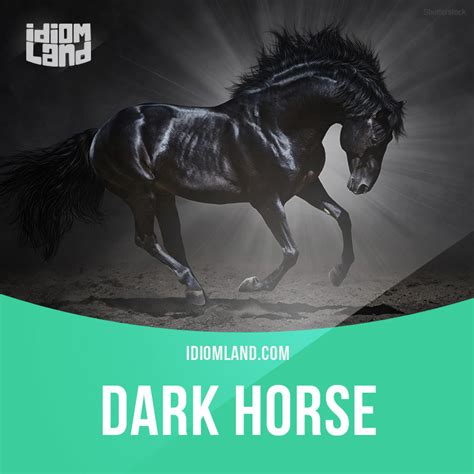 Idiom Land — Idiom of the day: Dark horse. Meaning: A person...