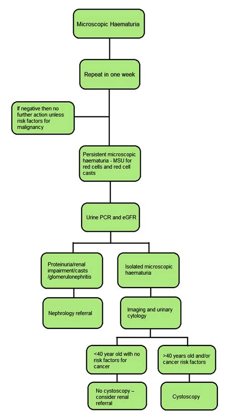 Haematuria - Oxford Medical Education