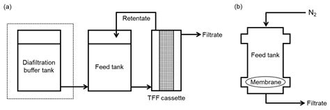 Effects Of Impurities From Sugar Excipient On Filtrate Flux During