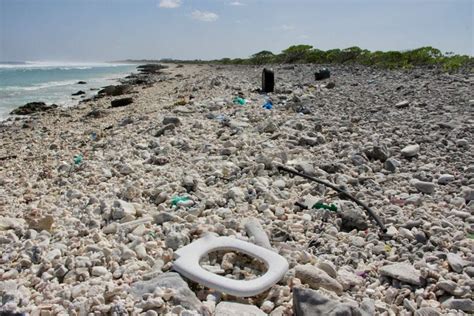 La Isla De La Basura En El Pacífico Ya Triplica El Tamaño De Francia