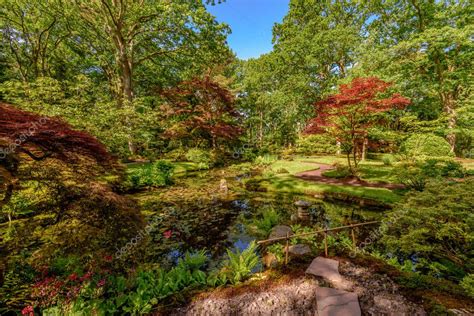 Colores De Finales De Primavera En El Jard N Japon S En Clingendael La