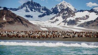 La vie en Antarctique Terra Antarctica Voyages Croisières Australes