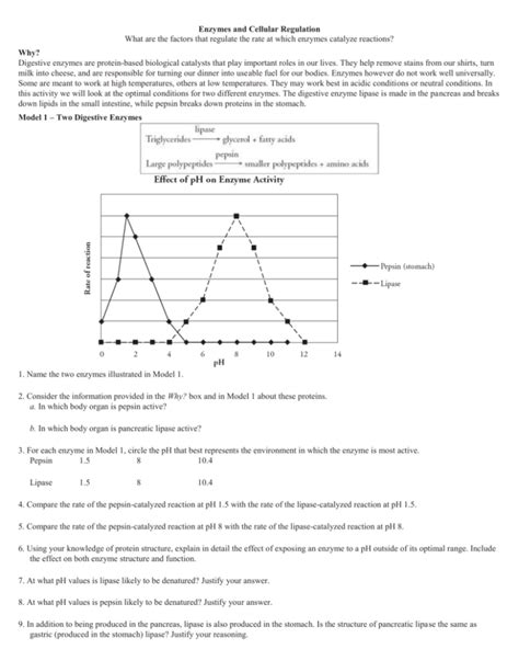 Enzymes And Cellular Regulation