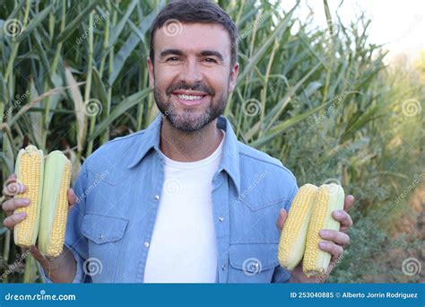 Farmer In Beautiful Corn Fields Stock Image Image Of Farm