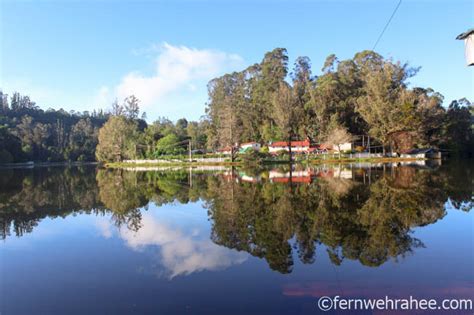 kodaikanal-sightseeing-kodaikanal-lake - Fernwehrahee