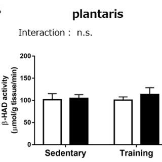 Maximal Activity Of Citrate Synthase In The Soleus A Plantaris B