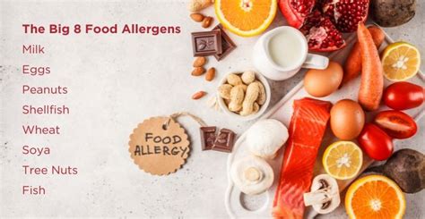 Why is it Important to Know About Food Allergens - FHA-FnB