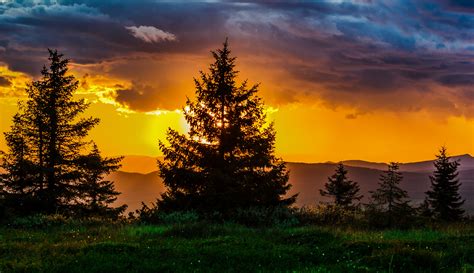 Free Images Landscape Tree Nature Horizon Wilderness Silhouette