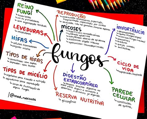 MAPA MENTAL SOBRE FUNGOS Maps4Study