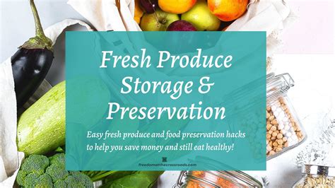 Fresh Produce Storage and Preservation - Freedom At The Crossroads