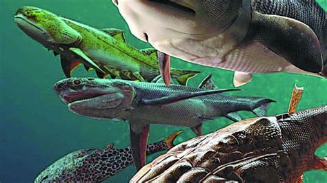 Fish fossils rewrite evolutionary history - Asia News NetworkAsia News ...