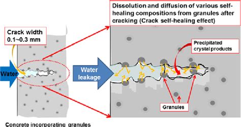 Figure 1 From Development Of Crack Self Healing Concrete By Cost