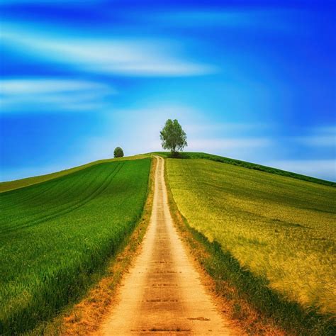 Grass Hill Wallpapers Top Free Grass Hill Backgrounds Wallpaperaccess