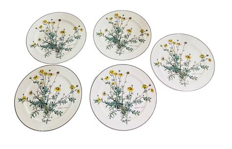 Set Of 5 Villeroy Boch Botanica Dinner Plates Anthemis Tinctoria No