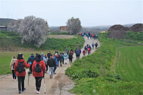 Anchuelo Dedica La Novena Ruta Del Camino De Cervantes A La Donaci N De