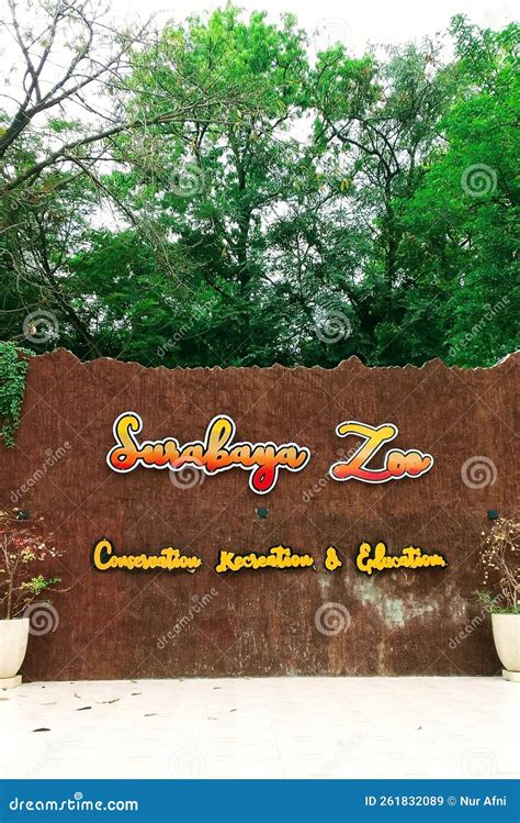 Surabaya Zoo stock image. Image of conservation, tiger - 261832089