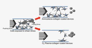 Microchannels Physics Of Surfaces TU Darmstadt