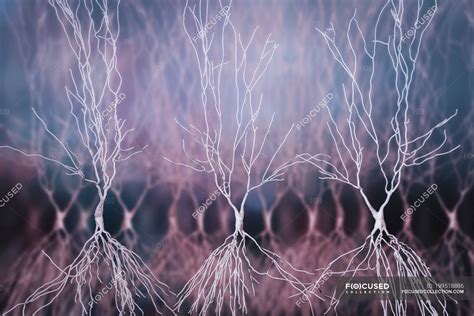 Hippocampus Neurons Structure Digital Artwork — Limbic Nervous