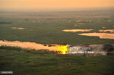 Sudd Swamp Photos and Premium High Res Pictures - Getty Images