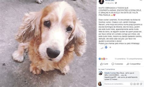 Cão sumido há dois meses é encontrado na divisa de Osasco e Barueri a