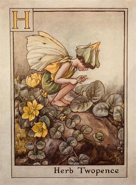 All Cicely Mary Barker Fairies