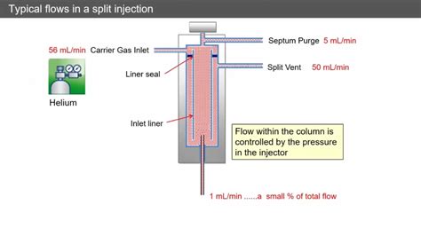 GC GC MS Fundamentals Injection Technique SSL Inlet And Split