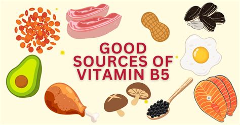 Vitamin B5 — Functions Health Benefits Deficiency Symptoms