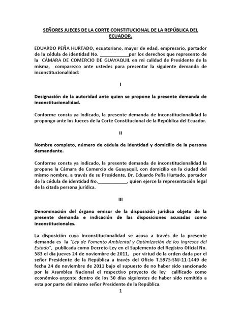 Modelo De Demanda De Inconstitucionalidad Pdf Virtud Ley